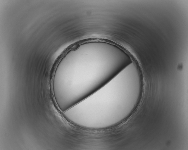X0000115670972200911121003