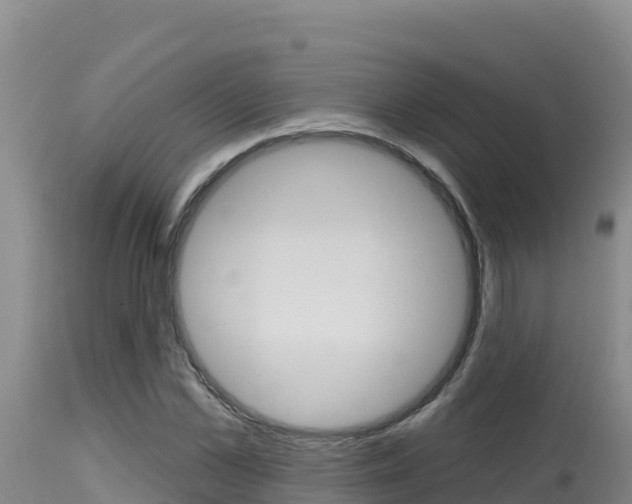 X0000115670973200911121003