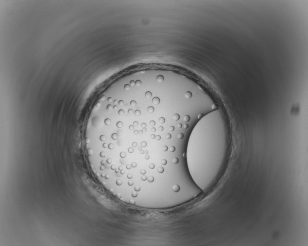 X0000115670974200911121003