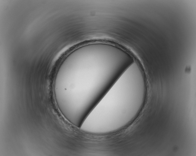 X0000115670975200911121002