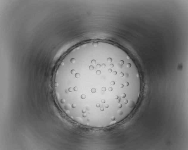 X0000115670978200911121002