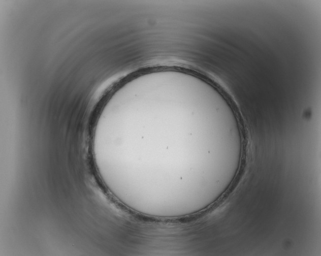 X0000115670979200911121002