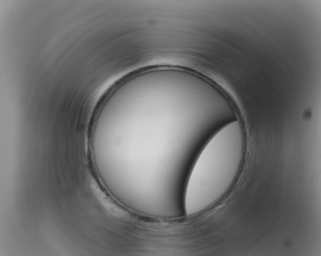 X0000115670980200911121002
