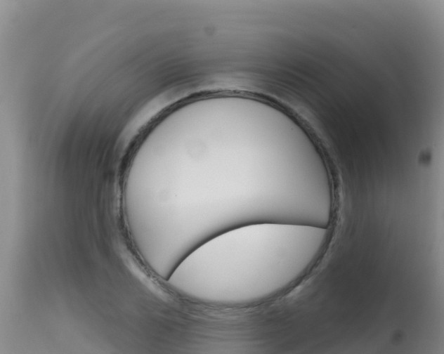 X0000115670982200911121002