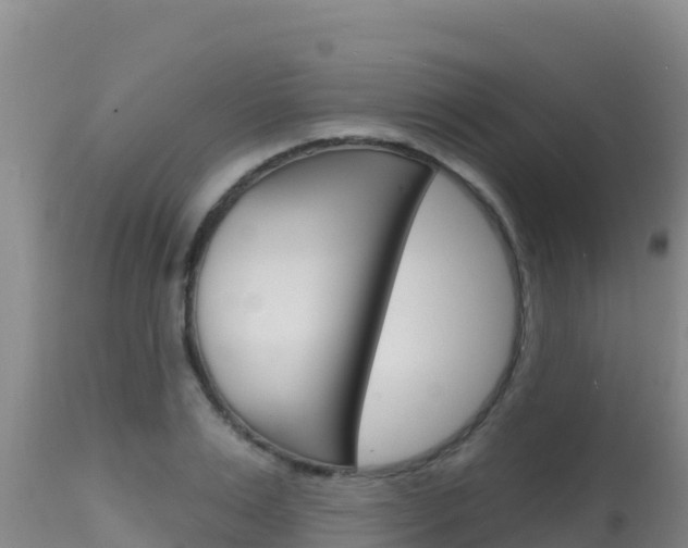 X0000115670983200911121002