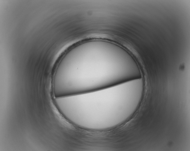 X0000115670984200911121002