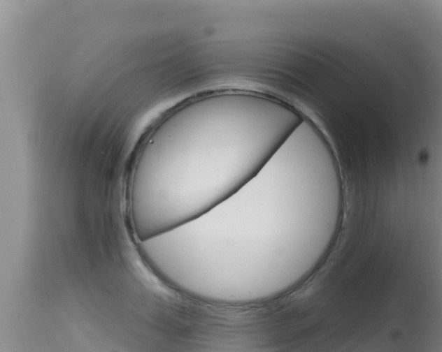 X0000115670987200911121002