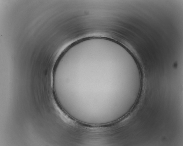 X0000115670988200911121002