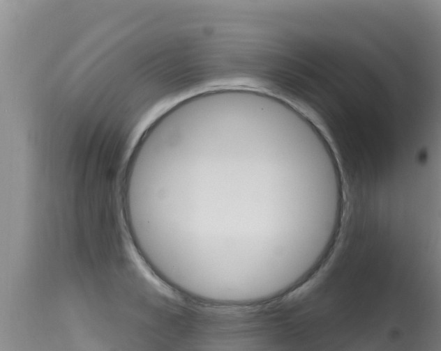 X0000115670989200911121002
