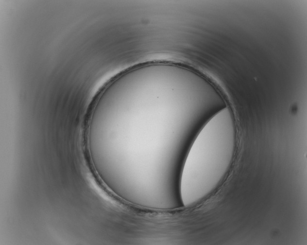 X0000115670991200911121002