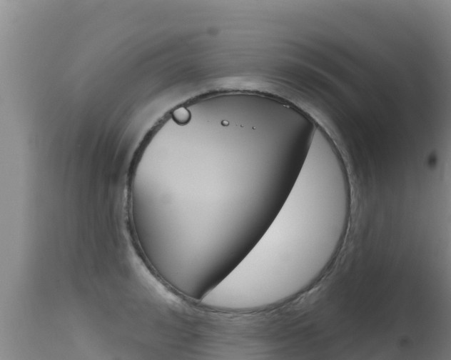 X0000115670992200911121002
