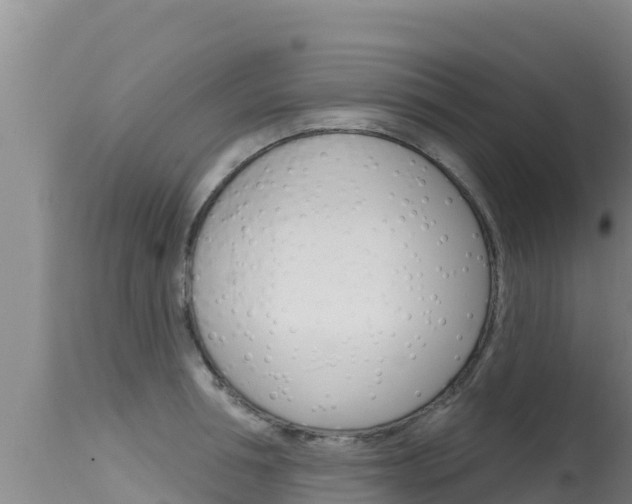 X0000115670994200911121002