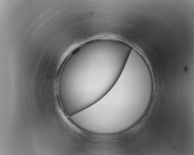 X0000115670997200911121002