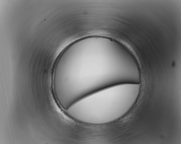 X0000115670999200911121002