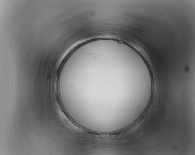 X0000115671000200911121002