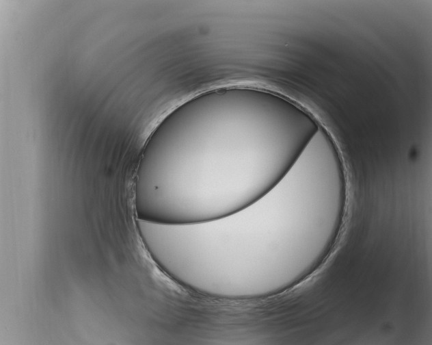 X0000115671001200911121002