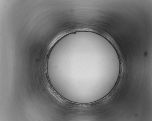 X0000115671002200911121002