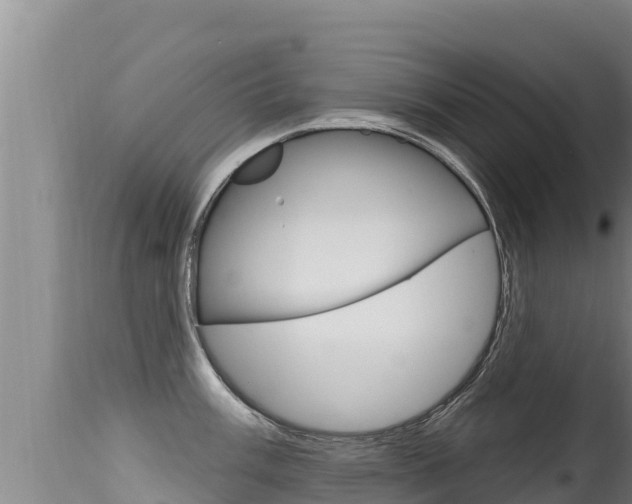 X0000115671003200911121002