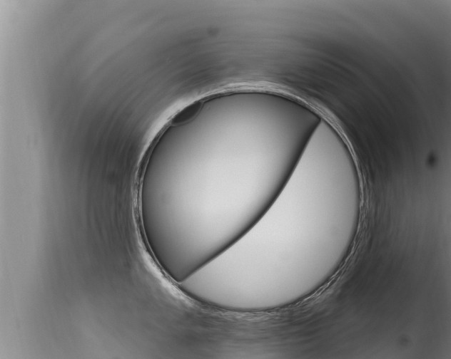 X0000115671005200911121002