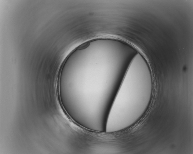 X0000115671007200911121002