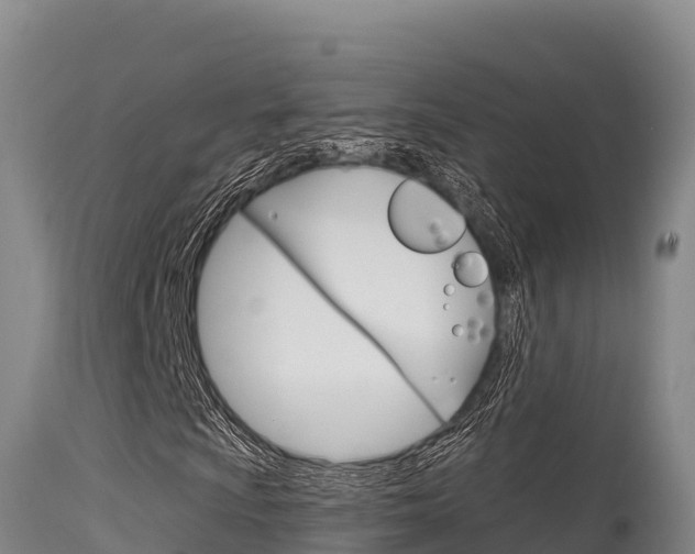 X0000115671009200911121001