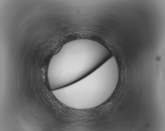 X0000115671010200911121001