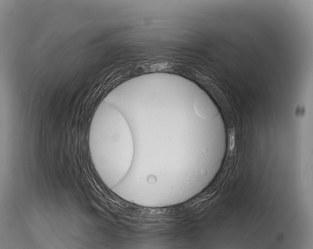 X0000115671011200911121001