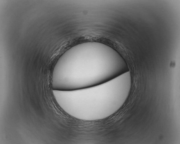 X0000115671012200911121001