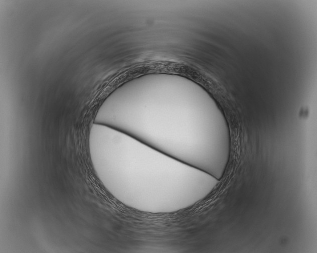 X0000115671013200911121001