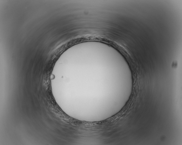 X0000115671015200911121001