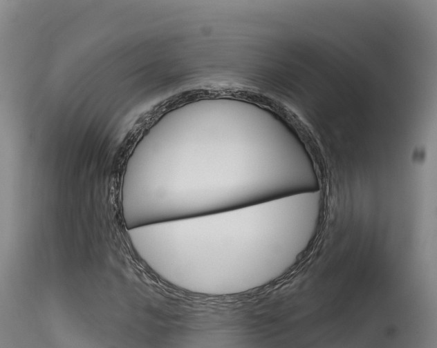 X0000115671016200911121001