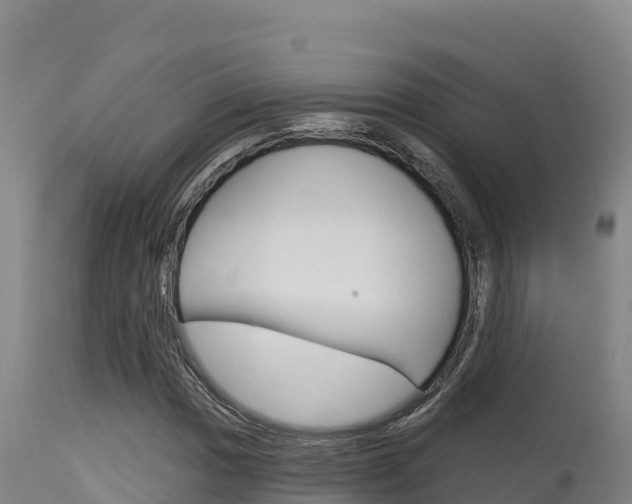 X0000115671017200911121001