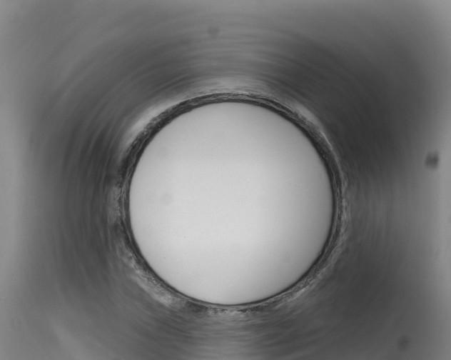 X0000115671019200911121002