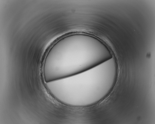 X0000115671020200911121002