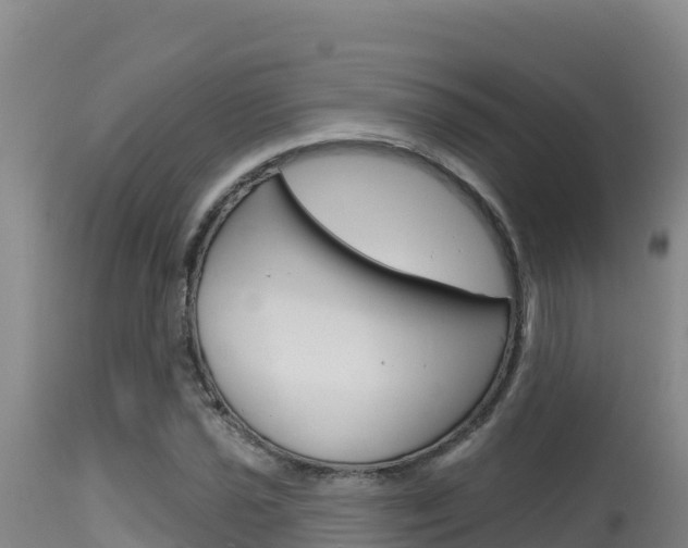 X0000115671021200911121002