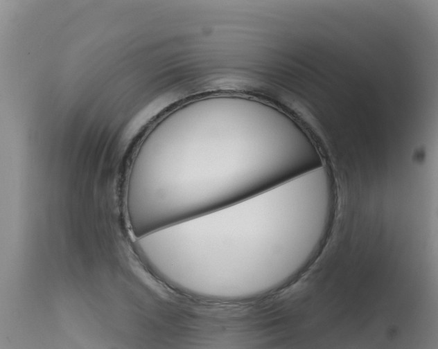 X0000115671026200911121002