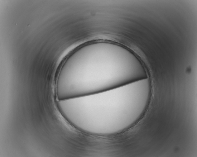 X0000115671028200911121002