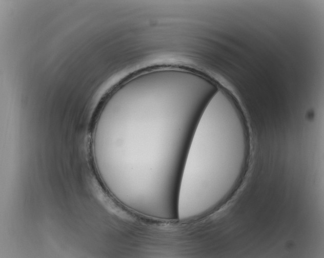 X0000115671029200911121002