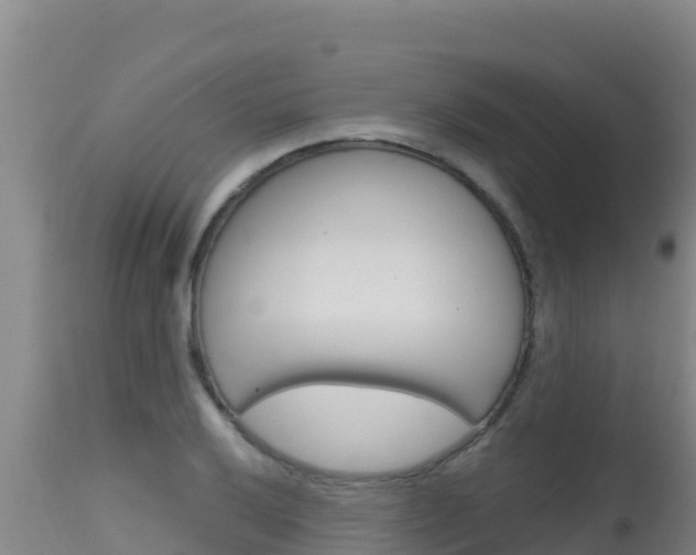 X0000115671032200911121002