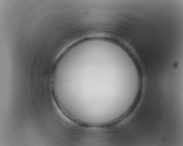 X0000115671033200911121002