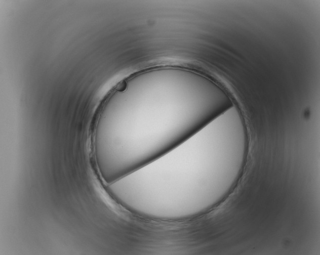 X0000115671034200911121002