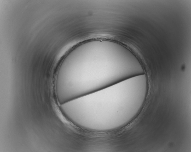 X0000115671038200911121002