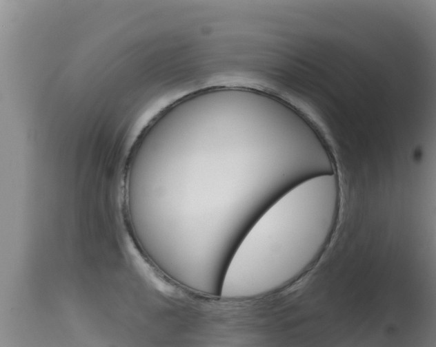 X0000115671040200911121002