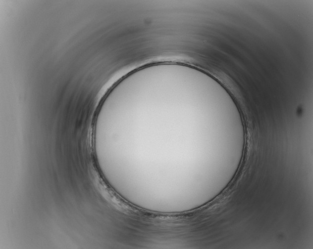 X0000115671044200911121002