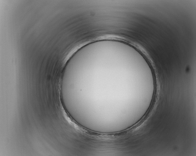 X0000115671049200911121002