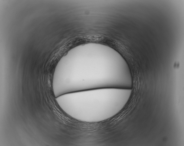 X0000115671058200911121001
