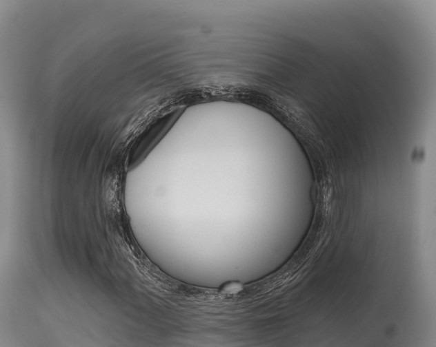 X0000115671060200911121001
