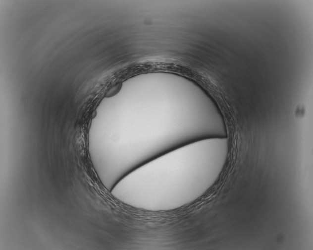 X0000115671062200911121001