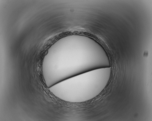 X0000115671063200911121001