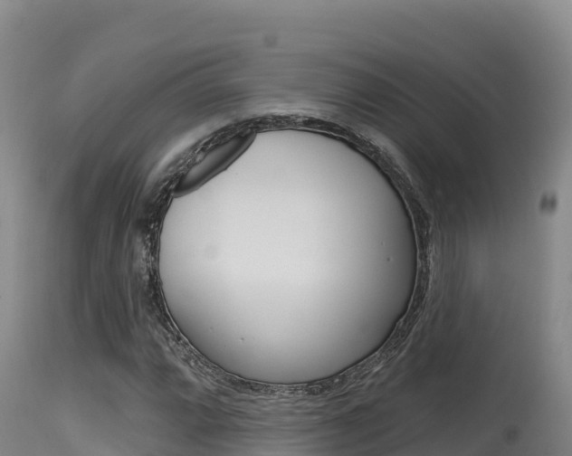 X0000115671064200911121001